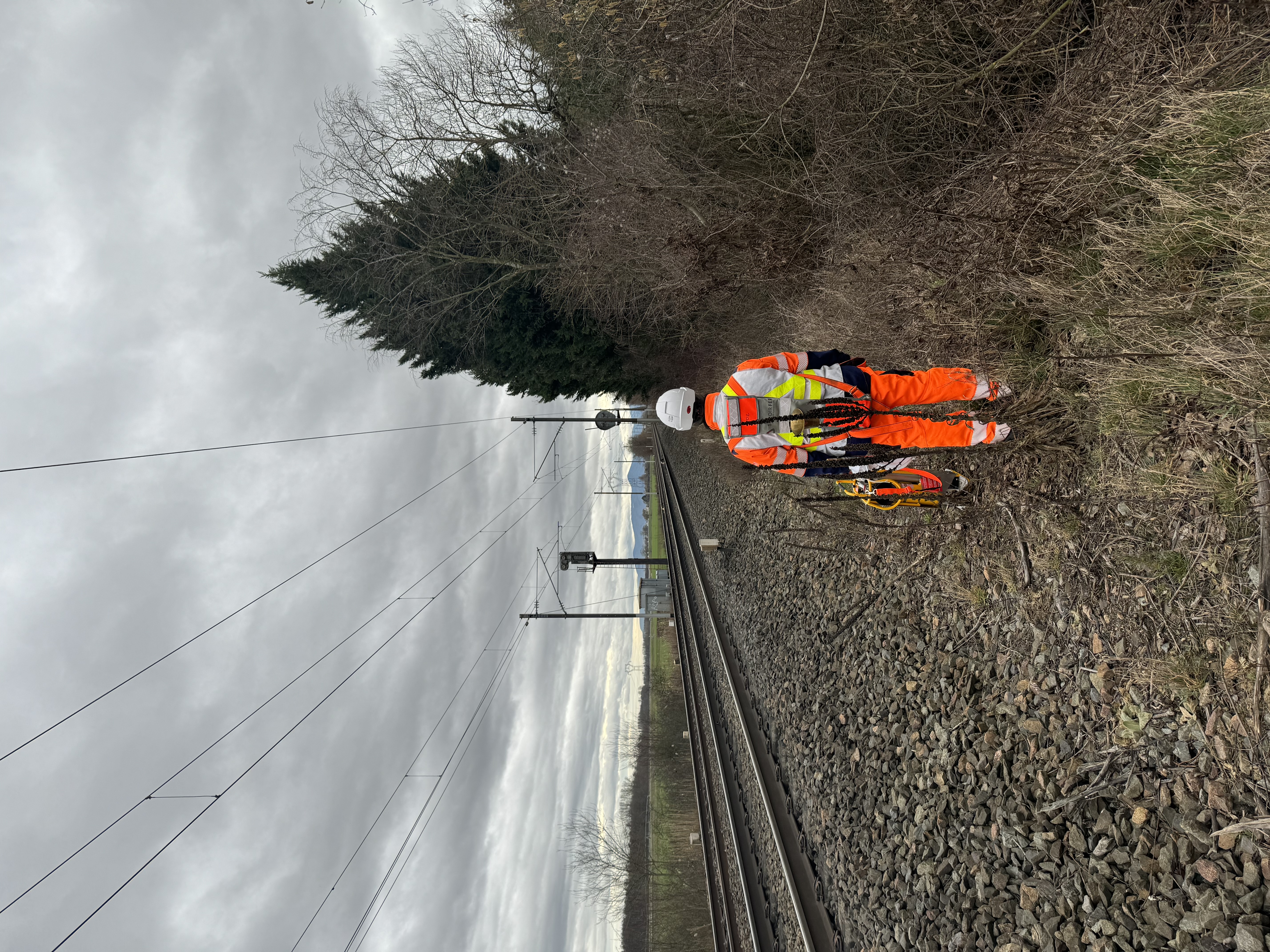 L'annonceur sentinelle